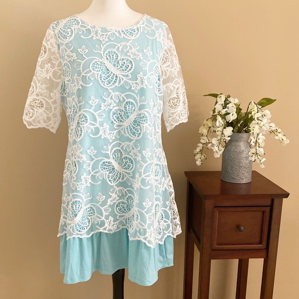 NEW Reborn Lace Overlay Short Sleeve Dress